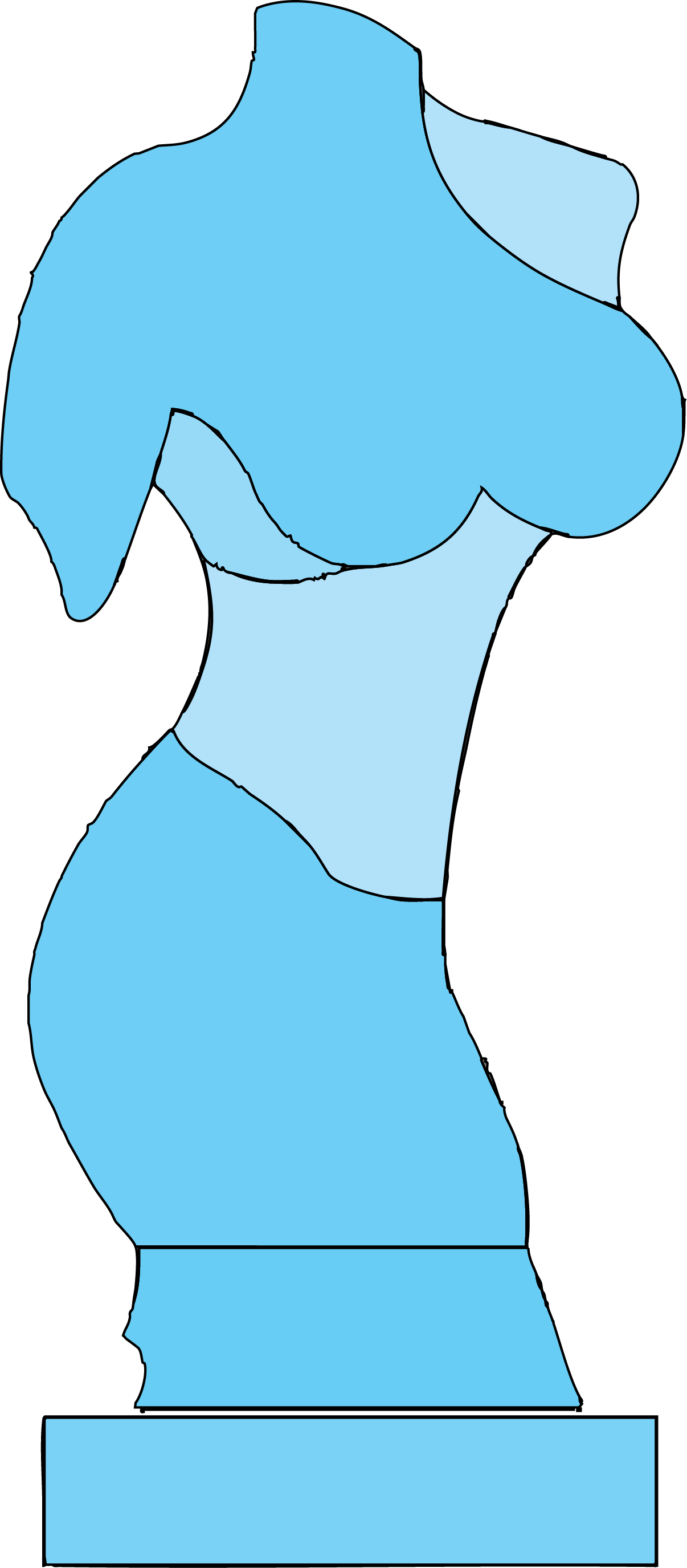 3D Woman Torso